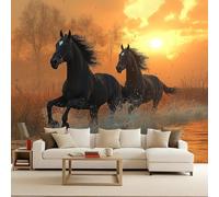 Générique Papier Peint Photo vintage 300x256cm Cheval De Puissance papier peint fleuri vintage Série Wild Freedom Transformation Instantanée Murale Maison Poster Tendance Art Mural DIY Facile à Poser