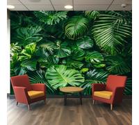 Générique Papier Peint Plante Tropical 250X175cm, Papier Peint Intissé Feuille Jungle Monstera Salon Chambre Panoramique Decoration, Fresque Murale Décoration Murale D18