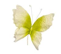 Générique Papillon Artificiel Décoration Murale Faux Ornement Accessoire Photo Décor de Scène Grand Embellissement En Papier avec Couleurs Magiques Adapté pour, Vert