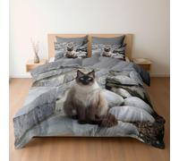 Générique Parure de lit 2 Personne avec Housse de Couette 140 x 200 + Taies d'oreiller, Motif Chat Siamois Élégant Escalier Housse, Parure Couette avec Fermetures éclair, Gris