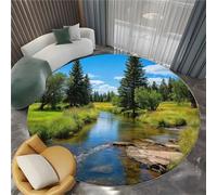 Générique Paysage Pastoral Tapis Rond 120 cm Roches De Ruisseau dans Tapis De Salon Rond, Lavable en Machine Moquette, Chambre Adulte Doux Antidérapant Decoration Chambrel