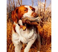 Générique Peinture Au Diamant 3D Point De Croix Springer Épagneul Ronde 5D Diy Diamant Broderie Mignon Pet Diamant Mosaïque Animal Chien (40x50cm)