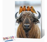 Générique Peinture Numero Enfant BéTail Peinture par Numero Oiseau Paint by Numbers, Loisir Creatif Adulte DIY Kit Creatif Adulte Couleur Canevas Painting, Cadeau Femme Sans Cadre 40x60cm A-0Q20