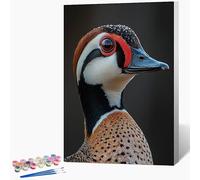 Générique Peinture Numero Enfant Canard Peinture par Numero Animal Paint by Numbers, Loisir Creatif Adulte DIY Kit Creatif Adulte Couleur Canevas Painting, Cadeau Femme Sans Cadre 70x100cm Q-K911