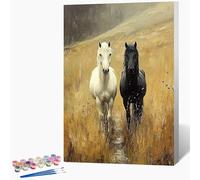 Générique Peinture Numero Enfant Cheval Peinture par Numero Animal Paint by Numbers, Loisir Creatif Adulte DIY Kit Creatif Adulte Couleur Canevas Painting, Cadeau Femme Sans Cadre 70x100cm Q-Q629