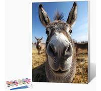 Générique Peinture par Numero Adulte âNe Peinture Numero Animal Activite Manuelle Adulte Painting by Numbers, Kit de Bricolage par Débutants Avec Pinceaux, Decoration Maison Sans Cadre 30x40cm Q-7389