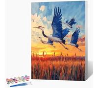 Générique Peinture par Numero Adulte Oiseau Peinture Numero Coucher De Soleil Activite Manuelle Adulte Painting by Numbers, Kit de Bricolage par Débutants, Decoration Maison Sans Cadre 30x40cm Q-6V75