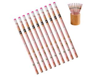 Générique Pencils for Kids - Graphite Tool for Writing | 10 Pieces Anti-Break with Erasers, Cartoon HB Stationery, Academic Accessories for Boys, Girls, Student and Home