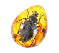 Générique Pendentif en Résine D’ambre Spécimen de Coléoptère, Décoration Artisanale Ambre Naturelle, Objet Décoratif Créatif pour Bijoux Diy, Accessoire Unique D’insecte, Ambre Couleur