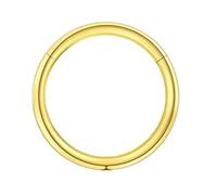Générique Percing Oreille Anneaux pour femmes sans couture segment articulé dormeur Clicker anneau cerceau oreille lèvre nez Septum Piercing Boucle D'Oreille Acier Chirurgical (Gold, One Size)