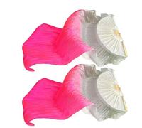 Générique Performance Silk Fans, Gradient Dance Veils, Long Flowing Flags, Faux Silk Chinese Props for Stage Art Show School Dance Performance Use, Elegant Visual Movement Tool