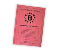 Générique Permis de Poussette Humoristique - Cadeau Original Futur Papa/Maman - Annonce Grossesse - Accessoire Parent - Idée Cadeau Naissance Bébé