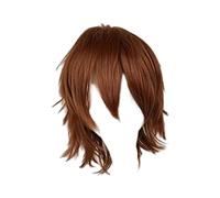 Générique Perruque Courte Homme Cosplay Anime Perruque Unisexe Cheveux Courts Costume Masculin Perruque Spiky Stylisable Fibre Haute Définition Fonction