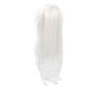 Générique Perruque Homme Longue Raide Blanche Cosplay Cheveux Synthétiques Résistante Chaleur Style Ancien Costume Hanfu
