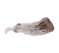 Générique Perruque Style Rock Unisexe Marron Dégradé Blanc Années Coupe Mulet Longue pour Costume et Déguisement