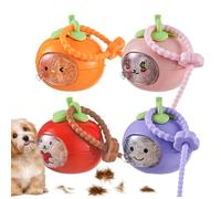 Générique Pet Keepsake Keychain - Universal Pet Memorial Keychain, Clear Collection Keepsake Charm | Personalized Pets Hair Memory Holder For Dog Cat Rabbit Hamster Puppy Medium Large Breeds