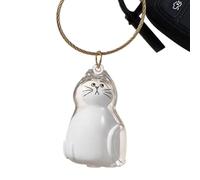 Générique Pet Memory Box - Cat Hair Keepsake Storage Case | Portable Memorial Pendant Kit Compact Secure Preservation Design for Travel Home, Car Burial, Family Or Friends