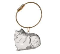 Générique Pet Memory Box - Cat Hair Keepsake Storage Case | Portable Memorial Pendant Kit Compact Secure Preservation Design for Travel Home, Car Burial, Family Or Friends