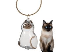 Générique Pet Memory Box - Cat Hair Keepsake Storage Case | Portable Memorial Pendant Kit Compact Secure Preservation Design for Travel Home, Car Burial, Family Or Friends