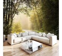 Générique Petit Chemin Papier Peint 350 x 256 cm (B x H) 3D Forêt Mural Poster Murale Intissé pour Chambre Salon Restaurant Personnalisé Décoration Personnalisé Décoration Murale W-32