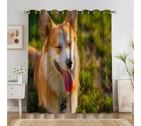 Générique Petit Rideau Occultant Thermiques Style RéAlisme Animalier, Lot de 2 Rideau Thermique à Oeillets, Corgi Rideaux pour Decoration Chambre Salon Chambre Fenetre 60x120cm(LxH) A1617