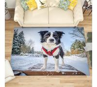Générique Petit Tapis Salon Chambre Poils Ras Animal Border Collie Antidérapant Tapis Lavables en Machine Chien de Berger à Poils Courts pour Cuisine, Salle à Manger, Bureau, 80x150 cm