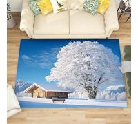 Générique Petit Tapis Salon Chambre Poils Ras Chalet de Neige Suisse Antidérapant Tapis Lavables en Machine Bleu à Poils Courts pour Cuisine, Salle à Manger, Bureau, 60x90 cm