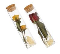 Générique Petites Bouteilles en Verre Mini Bocaux à Souhaits en Verre Élégant Lot de 2 avec Fleurs Séchées Décoratives pour Décoration Maison et Bureau