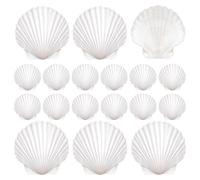 Générique Petites Coquilles pour Artisanat 20 pièces déco DIY