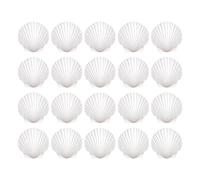 Générique Petites Coquilles pour Artisanat 20 pièces déco DIY