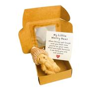 Générique Petits s Peluche en Boîte | Jouet Artisanal Avec Poche À Message Inspirant Cadeau De Soin Pour Noël Shower Saint Valentin