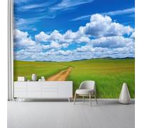 Générique Photo Papier Peint Panoramique 200 x 140 cm, Papier Peint Intissé Motif Nature Ciel Prairie Chemin, Bleu Vert Personnalisé 3D Murale Décoration pour Cuisine Chambre Salon Bureau