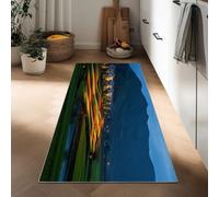 Générique Photographie De La Nature Tapis Couloir Long Champs Rayures Colorées Maisons 60 x 180 cm Doux Antidérapant Tapis Étroit, Bleu Lavable Moquette Cuisine Long pour Cuisine Couloir Passage