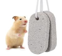 Générique Pierre à Mâcher pour Dents de Lapin et Petits Animaux, Pierre Volcanique Rectangulaire 2 Pcs, Favorise Dents Saines, Outil Molaire Sûr pour Animaux de Compagnie