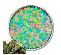 Générique Pierres Brillant dans Le Noir 500 Pièces De Gravier Décoratif | Roches phosphorescentes colorées DIY extérieur pour Jardin Cour Bassin Cheminée Aquarium Projets Art Loisirs Créatifs