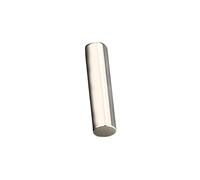 Générique Pilier argenté 5x20mm / 6x25mm pour Une conductivité optimale et Une Utilisation de Longue durée dans Les appareils auditifs, cinéma Maison