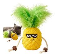 Générique Pineapple Shape Soft Cat Toys with Catnip Boredom Relief Game | Built-In Sound Device Cat Teething Toys for Small Medium Large Breed Dog Puppy Kitten Pet Indoor Cage