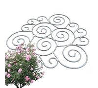 Générique Piquets de Support pour p-lantes, piquets en métal pour p-lantes de Jardin, Cage Ronde pour Plan-tes, Croissance à Travers des Supports de Plan-tes, pour Grandes Fleurs Lour-des, pivoines