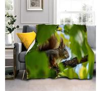 Générique Plaid Canape Écureuil Brun, Plante Verte Couverture Polaire en Flanelle Douce Chaude Couvre Lit 1 Personnes 140x200cm Jeté de Canapé Moelleuse Dessus de lit Canapé lit AL1887