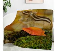 Générique Plaid Canape Grande Taille Écureuil Brun, Couverture Polaire Feuilles Orange, Couverture en Flanelle Douce et Moelleuse Convient aux Lits et Canapés （220x240cm） SF60