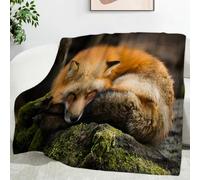 Générique Plaid Canape Grande Taille Renard Orange, Couverture Polaire Animaux, Couverture en Flanelle Douce et Moelleuse Convient aux Lits et Canapés （180x200cm） SF767
