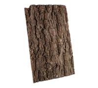 Générique Planche D'écorce en Bois Accessoires pour Terrariums pour Terrarium Tortue Terrestre, Décoration d'escalade Compacte et Facile à Déplacer pour Reptiles