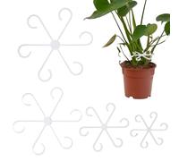 Générique Plant Stake - 4 Pieces Adjustable Reusable Holder, Monstera Support Pole, Protective Stabilizer, Garden Climbing Trellis, Potted Vine Fixer, Green for Greenhouse Orchids Pothos