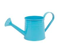 Générique Plant Watering Can - 1L Garden Watering Can | Long Spout Metal Bottle, Flower Arrangement Bucket Vase for Outdoor Indoor Gardening, Herb Garden and Greenhouse