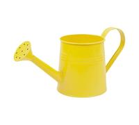 Générique Plant Watering Can - 1L Garden Watering Can | Long Spout Metal Bottle, Flower Arrangement Bucket Vase for Outdoor Indoor Gardening, Herb Garden and Greenhouse