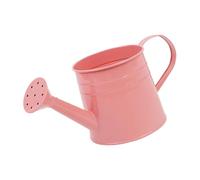 Générique Plant Watering Can - 1L Garden Watering Can | Long Spout Metal Bottle, Flower Arrangement Bucket Vase for Outdoor Indoor Gardening, Herb Garden and Greenhouse