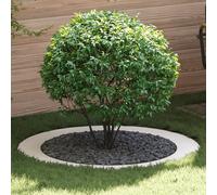 Générique Planteurs Blancs Blanc Plastique Grand Planteur Blanc Rond,Pots & Cache-Pots,12.5KG-873721