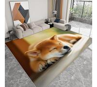Générique Pliable Tapis Animal Shiba Inu Style Anime Modèle pour Salon 80 x 120cm, D'éveil Lavables avec Dos Antidérapant Tapis à Poils Courts pour Salle à Manger Bureau Filles Garçons