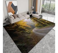 Générique Pliable Tapis Chemin forestier Paysage Rural d'automne Modèle pour Salon 140 x 200cm, D'éveil Lavables avec Dos Antidérapant Tapis à Poils Courts pour Salle à Manger Bureau Filles Garçons