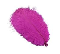 Générique Plumes d'autruche 15-20cm, 10 pièces/lot, décoration de Festival, création de Bijoux, Plumes colorées, Accessoires artisanaux(Rose Red)